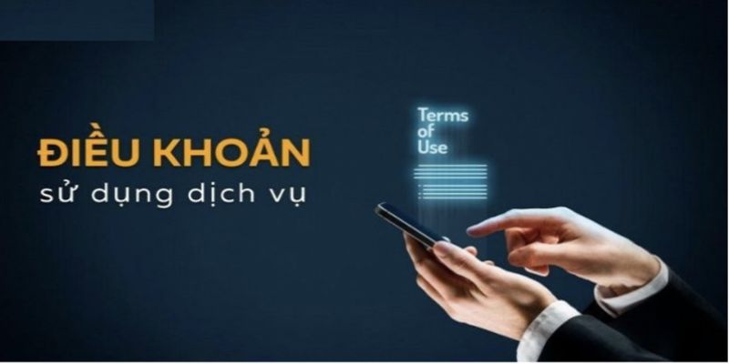 Mẹo sử dụng điều kiện điều khoản