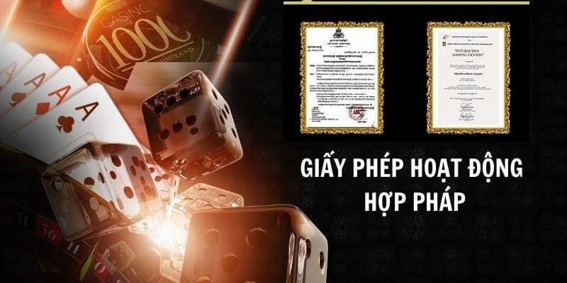 Giấy phép hoạt động tiêu chuẩn
